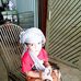 Abrar Malik - Facebook