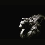 Abrar Uddin - @abrauddin - Instagram