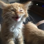Abriaroberts - @abriaroberts27042 - Instagram