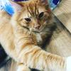 abria.roberts - @abria.roberts - TikTok