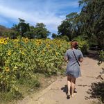 Abril Barraza Loaiza - @loaiza.ia - Instagram