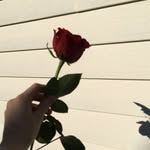 Abril Botello Saldaña - @abrilbotellosaldana - Instagram