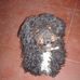 Abril Ferron - Facebook