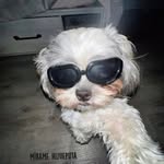 Abril Lujan - @abrillujan59 - Instagram