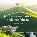 Ciro Alfonso Abril Mesa - @ciroalfonsoabril - Instagram