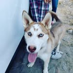 Abril Vargas - @abrilvargas54 - Instagram