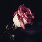 @abroo._khan._ - Instagram