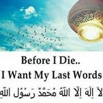 Abroo Khan - @abroo.khan - Instagram
