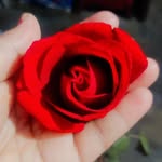 abroo Khan - @arzootamanna71 - Instagram