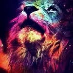 Abror Samatov - @abror.9208 - Instagram