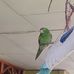 Absalon Jimenez - Facebook