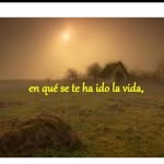 Absalon Ramirez - @ramirez.absalon - Instagram