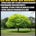 absalon sanchez - @sanchez_absalon - Instagram