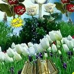 Abshiro Hussein Elmi - @abshiroe - Instagram