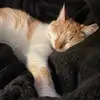 Absolute.power - @absolute.powerxxx - TikTok