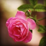 abtinakbarian - @abtinakbarian - Instagram