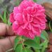Abu Abdula - Facebook