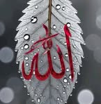 Abu Nashar Alam - Facebook