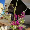 Abu Ayoub - @hamdo412 - TikTok