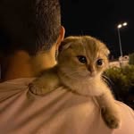 Abu_bey  - @abu_bey002 - Instagram
