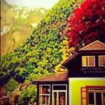 Abu Faisal - @abufaisal - Instagram