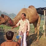 Abu Galib - @abugalib44 - Instagram