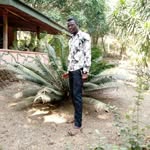 Abu Henry - @abuhenry5 - Instagram