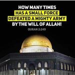 Sezai Ygi Abu Jannah - @abu_jannah_danimarki - Instagram