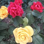 @abuk_aba - Instagram
