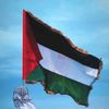 Abu Karim🇵🇸 - @abukarim.ps - TikTok