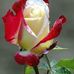 Abu Mansur - Facebook
