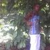 Abu Marrah - Facebook