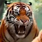 ABU MIAH - @ariyan80283 - Instagram
