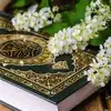 الدكتور الشيخ أبو محمد - @abu.mohammad066 - TikTok