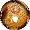 الدكتور الشيخ أبو محمد - @abu.mohammad77 - TikTok