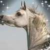 معتز جابر - @abu.monzer - TikTok