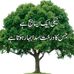 Abu Parvez - Facebook