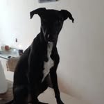 Abu Pauli - @abu.pauli - Instagram