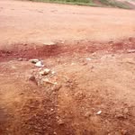 Abu  Peter - @abupeter55 - Instagram