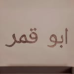 ابو قمر✨ - @abu_qamar_ansari - Instagram