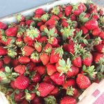 Abinyamaryam - @aburahmatullah - Instagram