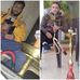 Abu Raja - Facebook