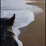 Абдулла Магомедов - @abu__saifullah - Instagram