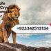 Abu Salman - Facebook