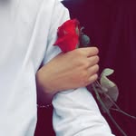 ابو _شیخ - @abu__shaikh_ - Instagram