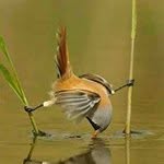 Abu Shaikh - @abu_shaikh - Instagram