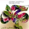 ابو احمد الشورتاني - @abuahmedalshortani - TikTok