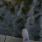 Abu singh - @fuck_gfh - Instagram