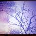 Abu Singh - Facebook