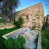 Abu Ward - @abu.ward31 - TikTok